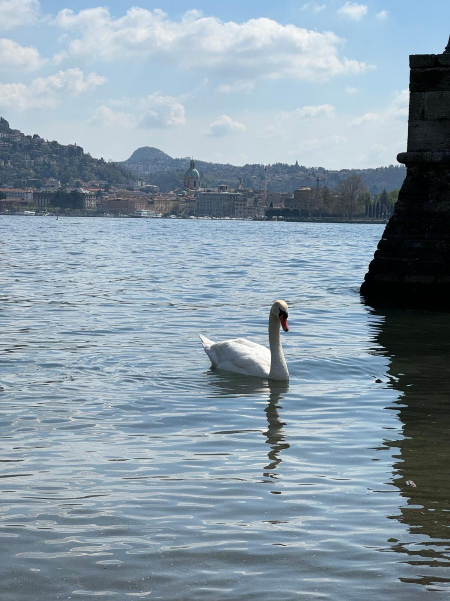Portatorre Suite, A Charming Apartment In The Heart Of Como, Free Private Parking, Air Conditioning & More! Esterno foto